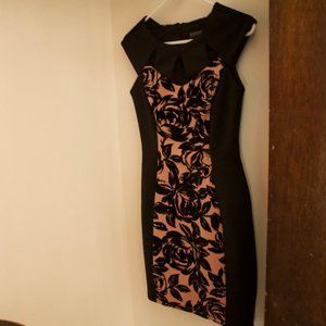 Enfocus Petite Black and Pink Professional Dress
